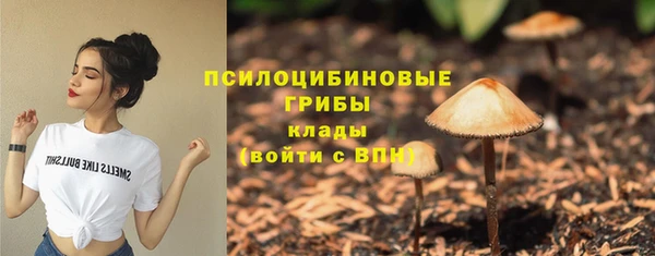 метамфетамин Белокуриха