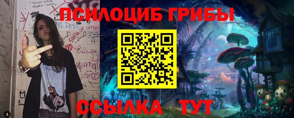 Псилоцибиновые грибы Psilocybine cubensis  Вход с VPN  Волжск 